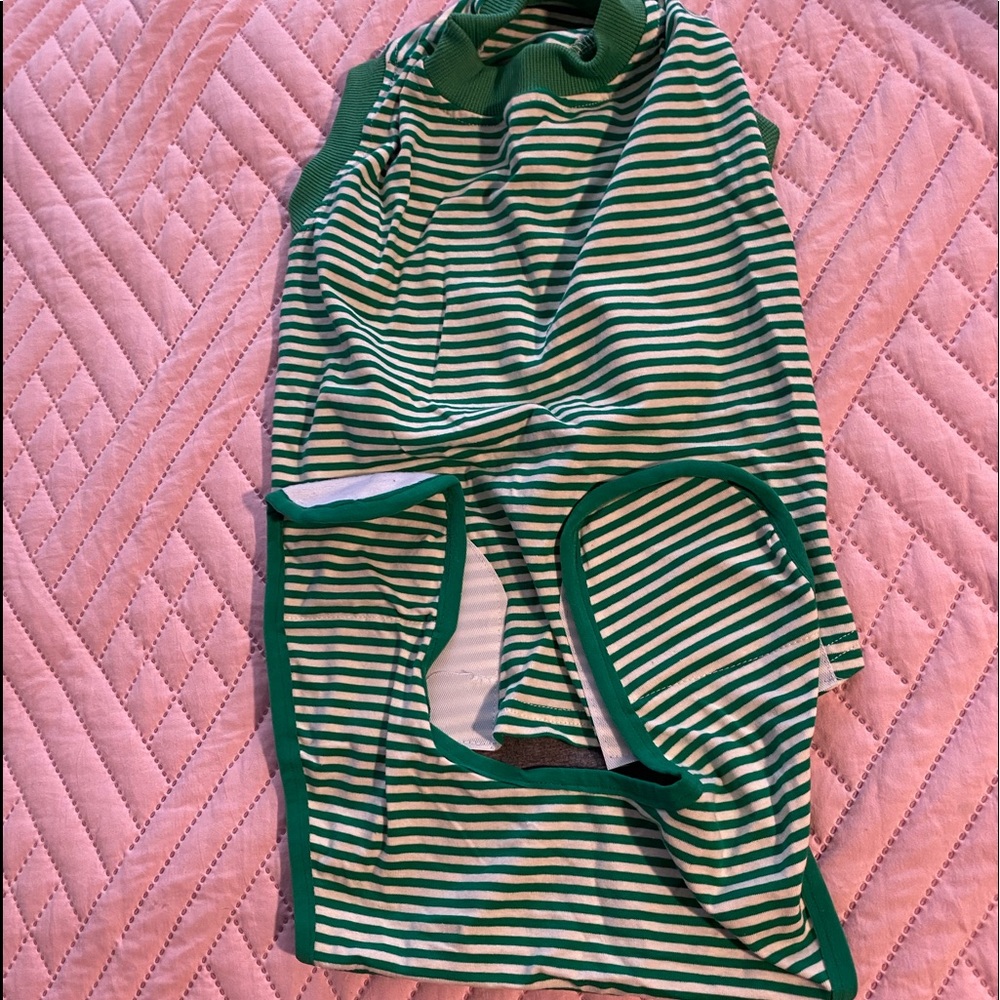 Dog Medium Outfit